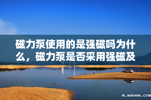 磁力泵使用的是强磁吗为什么,磁力泵是否采用强磁及其原因解析 磁力泵使用的是强磁吗为什么,磁力泵是否采用强磁及其原因解析