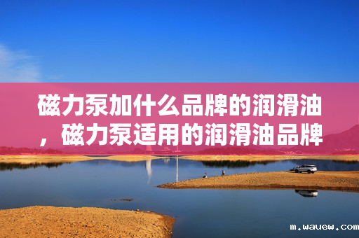 磁力泵加什么品牌的润滑油,磁力泵适用的润滑油品牌推荐 磁力泵加什么品牌的润滑油,磁力泵适用的润滑油品牌推荐