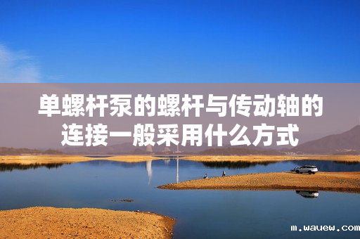 单螺杆泵的螺杆与传动轴的连接一般采用什么方式 单螺杆泵的螺杆与传动轴的连接一般采用什么方式