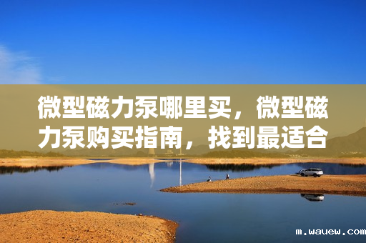 微型磁力泵哪里买,微型磁力泵购买指南,找到最适合你的购买渠道 微型磁力泵哪里买,微型磁力泵购买指南,找到最适合你的购买渠道