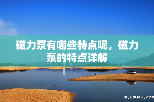 磁力泵有哪些特点呢,磁力泵的特点详解 磁力泵有哪些特点呢,磁力泵的特点详解