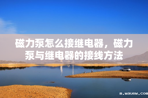 磁力泵怎么接继电器,磁力泵与继电器的接线方法 磁力泵怎么接继电器,磁力泵与继电器的接线方法