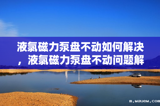液氯磁力泵盘不动如何解决,液氯磁力泵盘不动问题解决方案 液氯磁力泵盘不动如何解决,液氯磁力泵盘不动问题解决方案