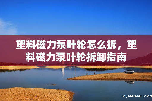 塑料磁力泵叶轮怎么拆,塑料磁力泵叶轮拆卸指南 塑料磁力泵叶轮怎么拆,塑料磁力泵叶轮拆卸指南