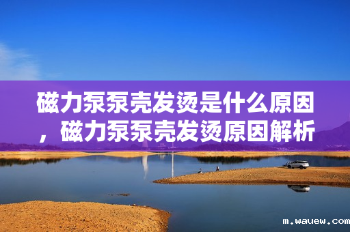 磁力泵泵壳发烫是什么原因,磁力泵泵壳发烫原因解析 磁力泵泵壳发烫是什么原因,磁力泵泵壳发烫原因解析