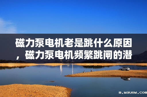 磁力泵电机老是跳什么原因,磁力泵电机频繁跳闸的潜在原因及解决方案 磁力泵电机老是跳什么原因,磁力泵电机频繁跳闸的潜在原因及解决方案
