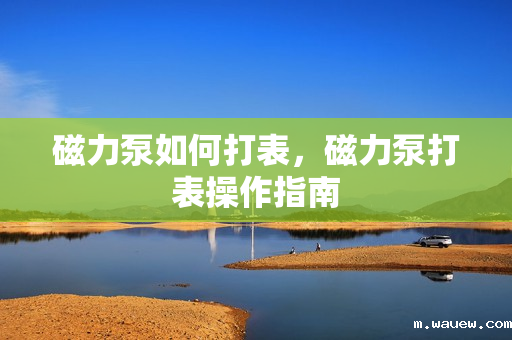 磁力泵如何打表,磁力泵打表操作指南 磁力泵如何打表,磁力泵打表操作指南