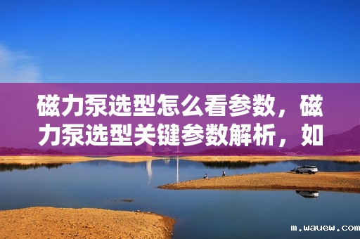磁力泵选型怎么看参数,磁力泵选型关键参数解析,如何准确选择合适的磁力泵 磁力泵选型怎么看参数,磁力泵选型关键参数解析,如何准确选择合适的磁力泵
