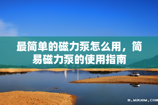 最简单的磁力泵怎么用,简易磁力泵的使用指南 最简单的磁力泵怎么用,简易磁力泵的使用指南