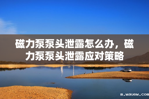 磁力泵泵头泄露怎么办,磁力泵泵头泄露应对策略 磁力泵泵头泄露怎么办,磁力泵泵头泄露应对策略