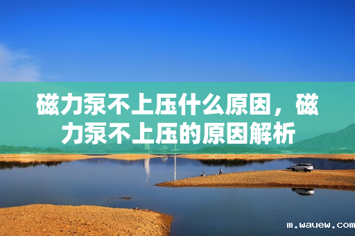 磁力泵不上压什么原因,磁力泵不上压的原因解析 磁力泵不上压什么原因,磁力泵不上压的原因解析
