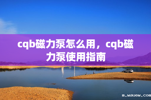 cqb磁力泵怎么用,cqb磁力泵使用指南 cqb磁力泵怎么用,cqb磁力泵使用指南