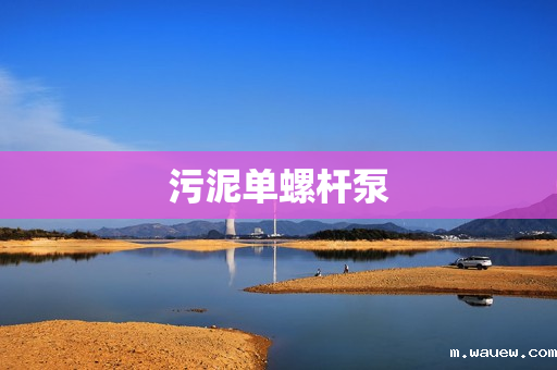 污泥单螺杆泵 污泥单螺杆泵