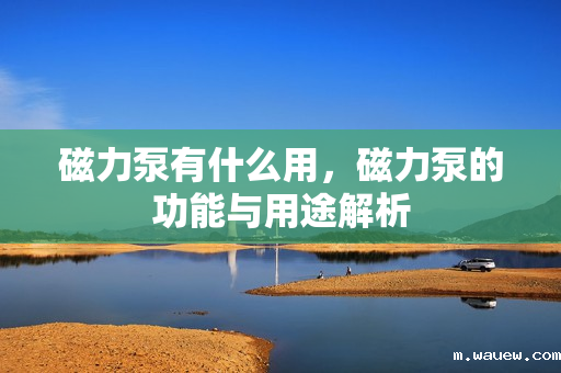 磁力泵有什么用,磁力泵的功能与用途解析 磁力泵有什么用,磁力泵的功能与用途解析
