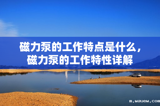 磁力泵的工作特点是什么,磁力泵的工作特性详解 磁力泵的工作特点是什么,磁力泵的工作特性详解
