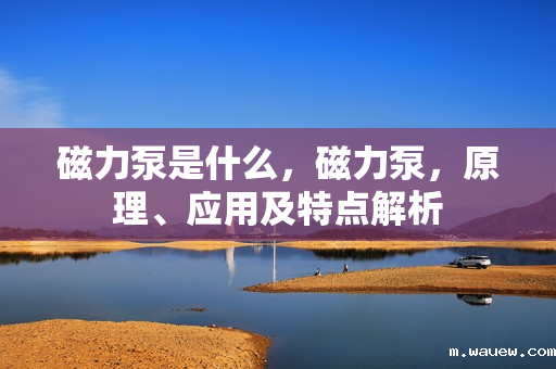 磁力泵是什么,磁力泵,原理、应用及特点解析 磁力泵是什么,磁力泵,原理、应用及特点解析