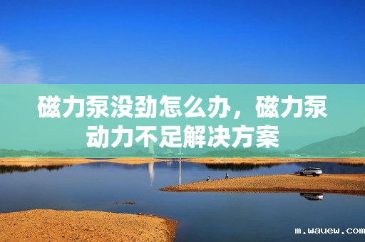 磁力泵没劲怎么办,磁力泵动力不足解决方案 磁力泵没劲怎么办,磁力泵动力不足解决方案