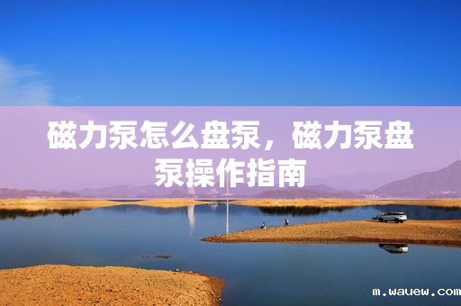 磁力泵怎么盘泵,磁力泵盘泵操作指南 磁力泵怎么盘泵,磁力泵盘泵操作指南