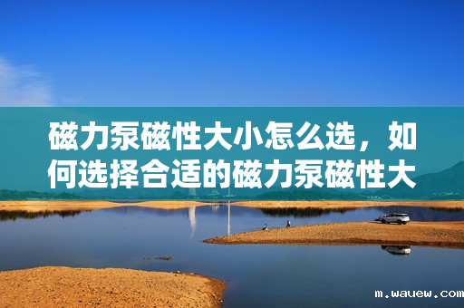 磁力泵磁性大小怎么选,如何选择合适的磁力泵磁性大小? 磁力泵磁性大小怎么选,如何选择合适的磁力泵磁性大小?