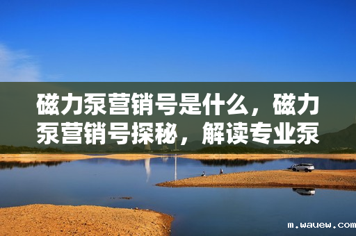 磁力泵营销号是什么,磁力泵营销号探秘,解读专业泵类产品的营销新策略 磁力泵营销号是什么,磁力泵营销号探秘,解读专业泵类产品的营销新策略