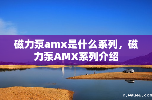 磁力泵amx是什么系列,磁力泵AMX系列介绍 磁力泵amx是什么系列,磁力泵AMX系列介绍