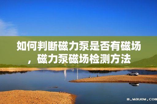 如何判断磁力泵是否有磁场,磁力泵磁场检测方法 如何判断磁力泵是否有磁场,磁力泵磁场检测方法