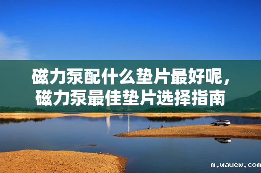 磁力泵配什么垫片最好呢,磁力泵最佳垫片选择指南 磁力泵配什么垫片最好呢,磁力泵最佳垫片选择指南