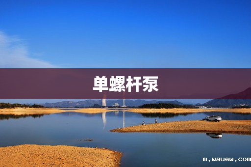 单螺杆泵 单螺杆泵