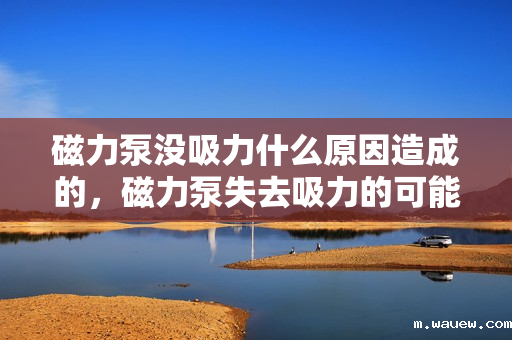 磁力泵没吸力什么原因造成的,磁力泵失去吸力的可能原因解析 磁力泵没吸力什么原因造成的,磁力泵失去吸力的可能原因解析