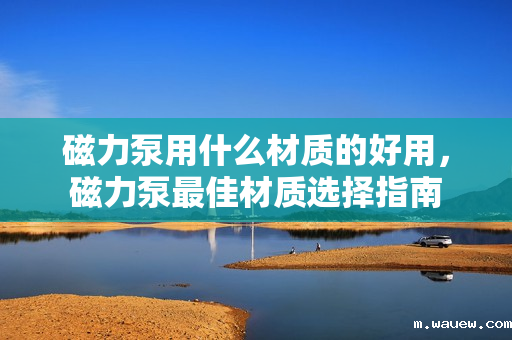 磁力泵用什么材质的好用,磁力泵最佳材质选择指南 磁力泵用什么材质的好用,磁力泵最佳材质选择指南