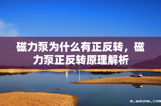 磁力泵为什么有正反转,磁力泵正反转原理解析 磁力泵为什么有正反转,磁力泵正反转原理解析