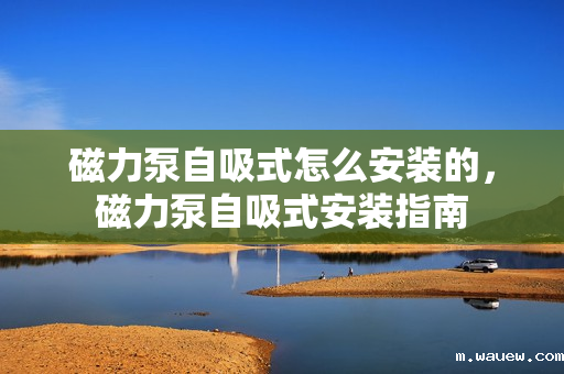 磁力泵自吸式怎么安装的,磁力泵自吸式安装指南 磁力泵自吸式怎么安装的,磁力泵自吸式安装指南