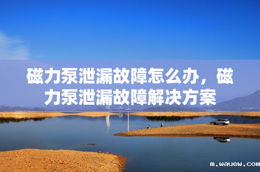磁力泵泄漏故障怎么办,磁力泵泄漏故障解决方案 磁力泵泄漏故障怎么办,磁力泵泄漏故障解决方案