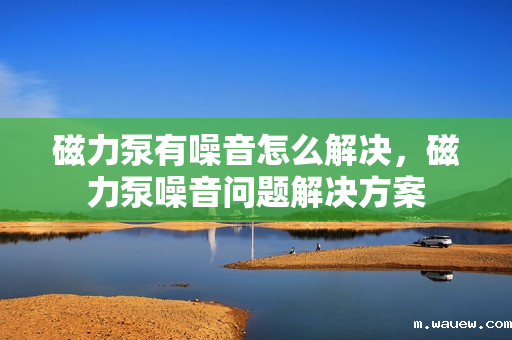 磁力泵有噪音怎么解决,磁力泵噪音问题解决方案 磁力泵有噪音怎么解决,磁力泵噪音问题解决方案