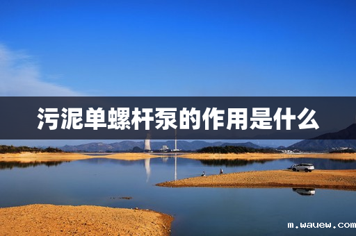 污泥单螺杆泵的作用是什么 污泥单螺杆泵的作用是什么