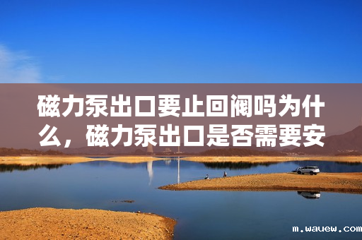 磁力泵出口要止回阀吗为什么,磁力泵出口是否需要安装止回阀?原因解析 磁力泵出口要止回阀吗为什么,磁力泵出口是否需要安装止回阀?原因解析