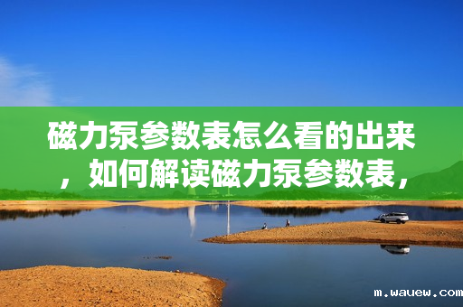 磁力泵参数表怎么看的出来,如何解读磁力泵参数表,一份简明指南 磁力泵参数表怎么看的出来,如何解读磁力泵参数表,一份简明指南