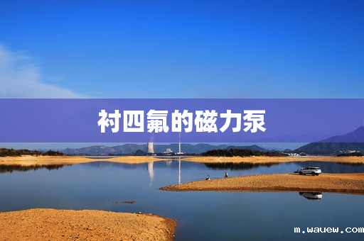 衬四氟的磁力泵 衬四氟的磁力泵