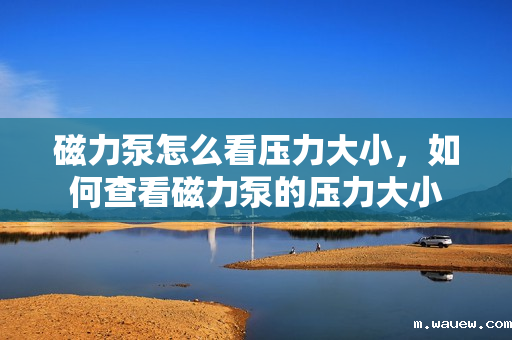 磁力泵怎么看压力大小,如何查看磁力泵的压力大小 磁力泵怎么看压力大小,如何查看磁力泵的压力大小