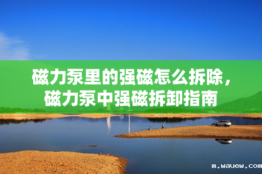 磁力泵里的强磁怎么拆除,磁力泵中强磁拆卸指南 磁力泵里的强磁怎么拆除,磁力泵中强磁拆卸指南