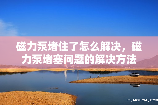磁力泵堵住了怎么解决,磁力泵堵塞问题的解决方法 磁力泵堵住了怎么解决,磁力泵堵塞问题的解决方法