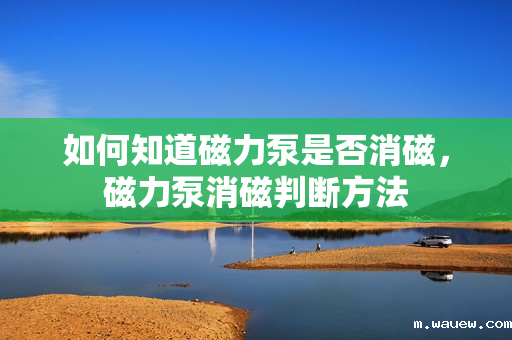 如何知道磁力泵是否消磁,磁力泵消磁判断方法 如何知道磁力泵是否消磁,磁力泵消磁判断方法