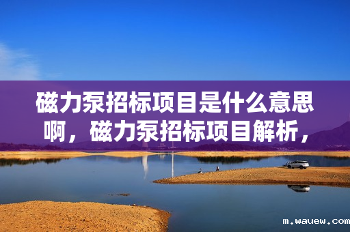 磁力泵招标项目是什么意思啊,磁力泵招标项目解析,定义、流程与注意事项 磁力泵招标项目是什么意思啊,磁力泵招标项目解析,定义、流程与注意事项