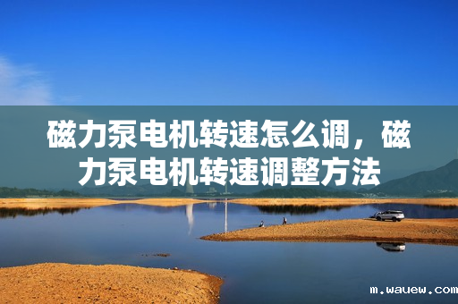 磁力泵电机转速怎么调,磁力泵电机转速调整方法 磁力泵电机转速怎么调,磁力泵电机转速调整方法