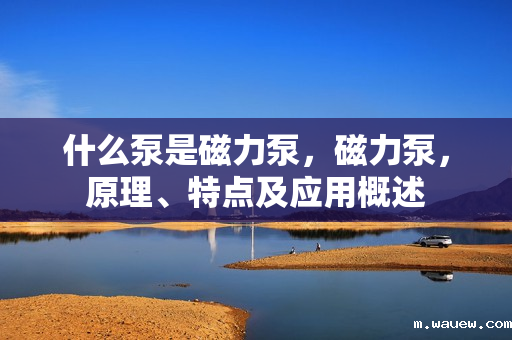 什么泵是磁力泵,磁力泵,原理、特点及应用概述 什么泵是磁力泵,磁力泵,原理、特点及应用概述