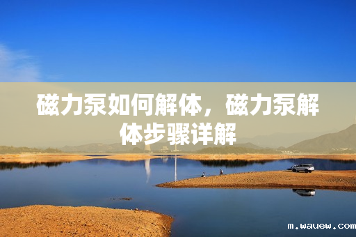 磁力泵如何解体,磁力泵解体步骤详解 磁力泵如何解体,磁力泵解体步骤详解