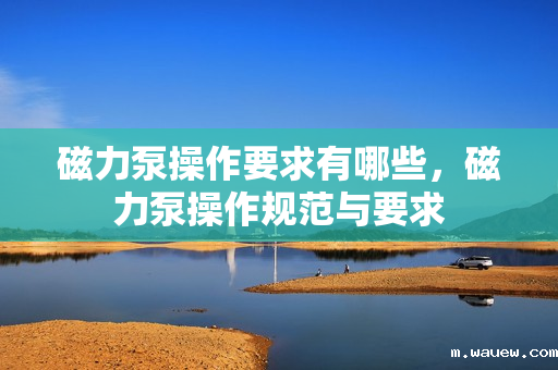 磁力泵操作要求有哪些,磁力泵操作规范与要求 磁力泵操作要求有哪些,磁力泵操作规范与要求