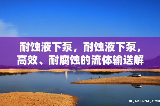 耐蚀液下泵,耐蚀液下泵,高效、耐腐蚀的流体输送解决方案 耐蚀液下泵,耐蚀液下泵,高效、耐腐蚀的流体输送解决方案