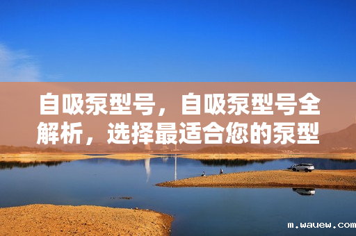 自吸泵型号,自吸泵型号全解析,选择最适合您的泵型 自吸泵型号,自吸泵型号全解析,选择最适合您的泵型