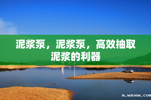 泥浆泵,泥浆泵,高效抽取泥浆的利器 泥浆泵,泥浆泵,高效抽取泥浆的利器